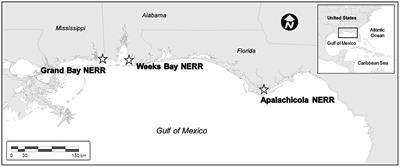 Communicating and Understanding Ecosystem Services Assessment With Coastal Stakeholders: Obstacles and Opportunities